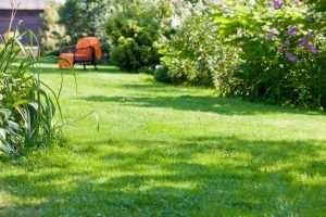 travaux jardin et paysage Buno-Bonnevaux